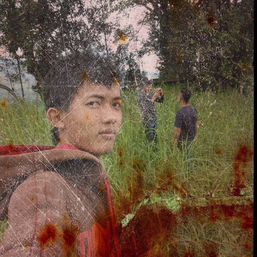 aref_ibmz's profile picture. 