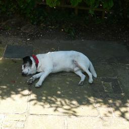 KingstonGraham's profile picture. 