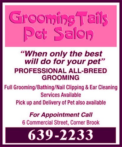 GroomingTailsNL's profile picture. Professional All-Breed Groomer, mom and friend to all :)