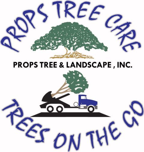 We are a veteran and family owned and operated TREE & LANDSCAPE company for over 36 years!