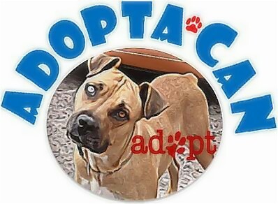 Adoptacan