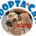 Adoptacan (@proadoptacan) Twitter profile photo Adoptacan (@proadoptacan) Twitter profile photo