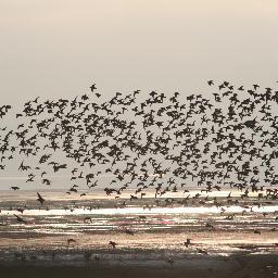 Expertise in hospitality & tourism & offering Shortbreaks to the Wirral - Including Photography, Kite&Sand Surfing, Sailing,Walking & Dee-Estuary Birdwatching