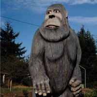 Totengraber (@totengraber) 's Twitter Profile