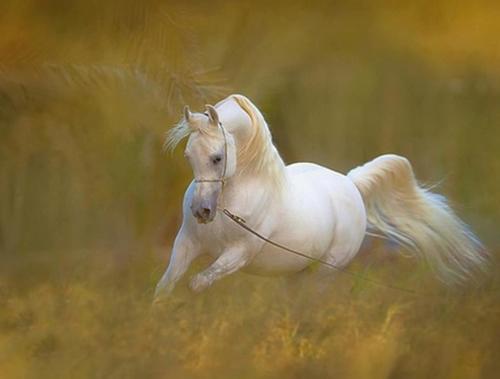 RazzakHasafara's profile picture. 