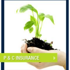 Get latest news and updates on Property and Casualty Insurance, Analysis, Market Trends, insights and more from the insurance industry