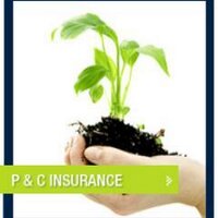 PCIT Plus(@PCITPlus) 's Twitter Profile Photo