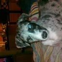 jack teal - @4Teal - Twitter