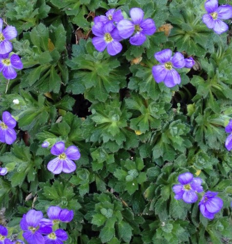 PeakeWoo's profile picture. 