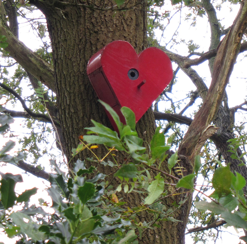 Bekhofschans's profile picture. Misschien wel het mooiste kampeerterrein van Nederland.