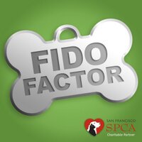 Fido Factor (@fidofactor) 's Twitter Profile
