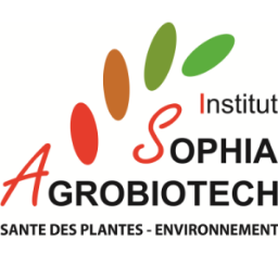 SAgrobiotech's profile picture. L’Institut Sophia Agrobiotech (INRAE, Univ. Côte d'Azur, Cnrs) a pour objectif de comprendre les interactions entre le végétal et son environnement biotique.
