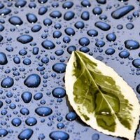 Biology News (@biologymews) 's Twitter Profile Photo Biology News (@biologymews) 's Twitter Profile Photo