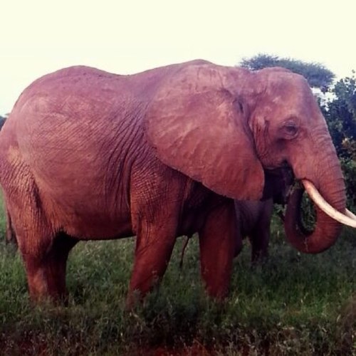 LaPaolaaaa's profile picture. 