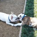 Frank Martin Garcia - @Frank_Aisha - Twitter