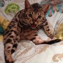 Danielle Rayner - @DanielleRayner - Twitter