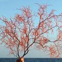 Candace Bouchard - @CandaceBouchar1 - Twitter