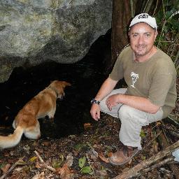 mrguigsy's profile picture. 