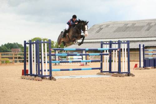 EaglesfieldEC's profile picture. We are a family run Livery yard/show centre/ rosettes/embroidery