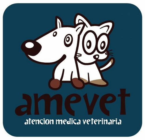 Amevet_ Profile Picture