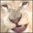 jyjeduxusa's profile image
