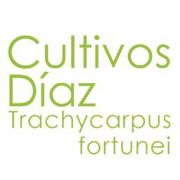 Trachycarpus Fortunei specialist