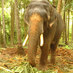 Rajeev Nambiar (@rajeevnambiar2) Twitter profile photo