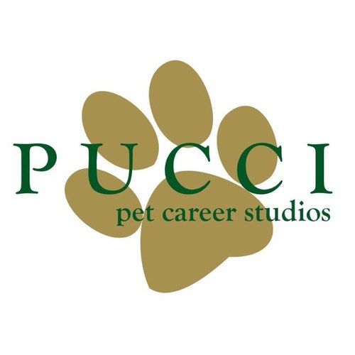 Dog Grooming School 🐾Education in Pet Grooming 🐕 Pucci offers a unique career program that focuses on dog styling with an emphasis in spa management