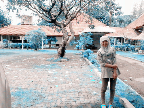 peace indonesia