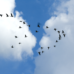 jesse22880289's profile picture. 