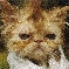 Mutual following :)
Borned, alive :) I don't publish any stupid quotes and links, only my own poor words :) I write in Russian usually.