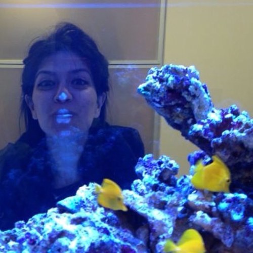 acliksanati's profile picture. 