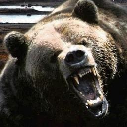 GOD_OF_BEARS's profile picture. I AM THE GOD OF BEARS