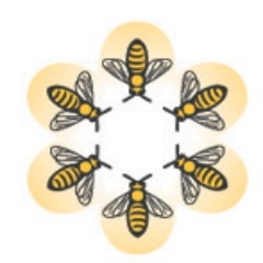 Toronto’s original beekeeping collective. #torontobeekeeping