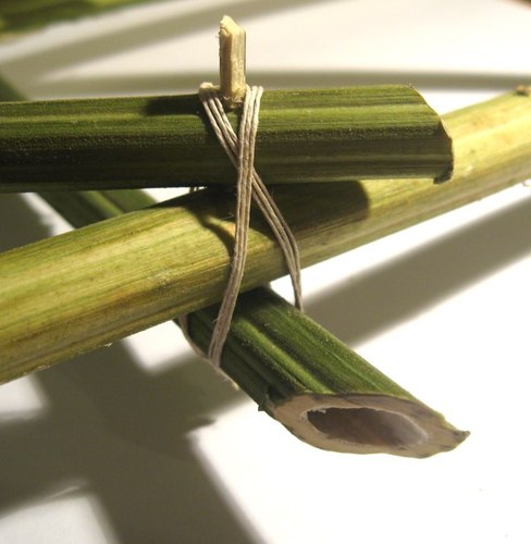 HempArchitect's profile picture. Groundbreaking research into hemp stalk construction and its innovative use in architecture & design. Led by Matthew Bell, M.Arch #HempA