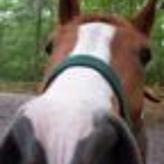 emmcard's profile picture. 