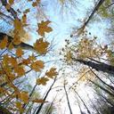 andrew reimer - @62525001 - Twitter