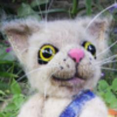 isivelina's profile picture. взаимный фолловинг, followback