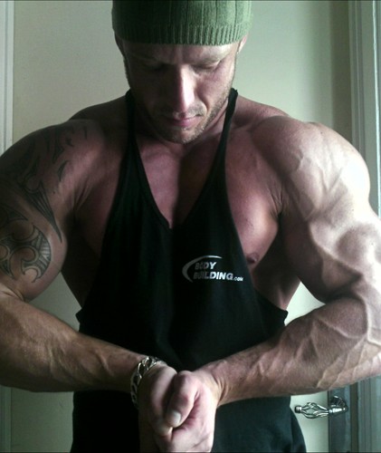 cattellp's profile picture. Sarcasm,Gym n jokes.... thats about it