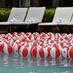 Providence Marriott (@pvdmarriott) Twitter profile photo Providence Marriott (@pvdmarriott) Twitter profile photo