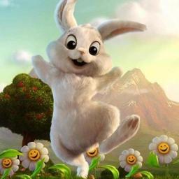 взаимный фолловинг, followback