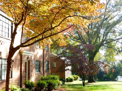 Ardmore Terrace and Cloverdale Apartments. Four distinct floor plans. Nestled in Historic Ardmore. City living with historic charm.