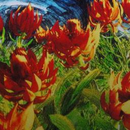 igluver15's profile picture. BS detector within 30 secs of meeting you