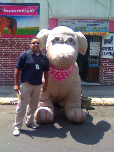 dgos7710's profile picture. 