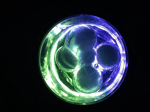 dmenu_dell's profile picture. 