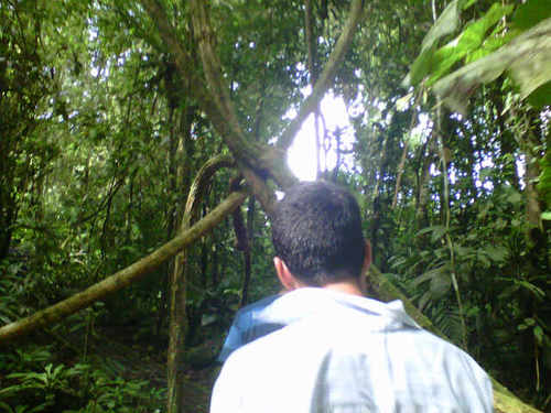 RanieroTesta's profile picture. Humano de nacimiento, creyente de la ética y la moral.