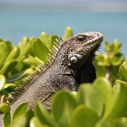 wel_van's profile picture. 