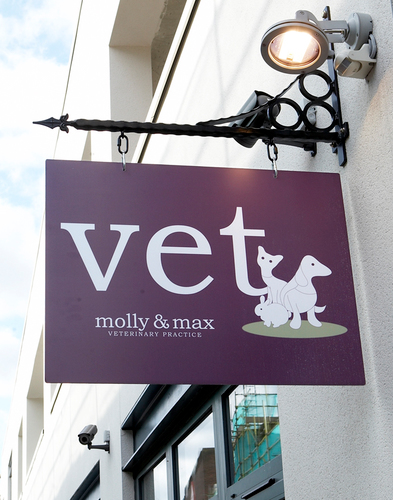 Molly & Max Veterinary Practice 
4 Heathmans Road
London
SW6 4TJ
0207 751 0182