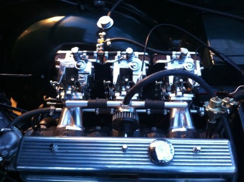 OldTriumphMan's profile picture. 