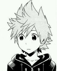 I'm Roxas, the Keyblade's Chosen one. I'm from the Organization. Yet now I don't remember much.